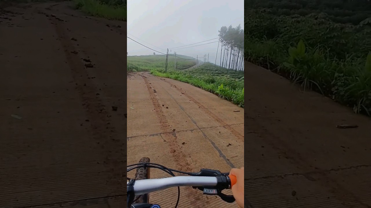freeday morning ride cycling in the morning in the pine forest mountains hidden paradise #nature
