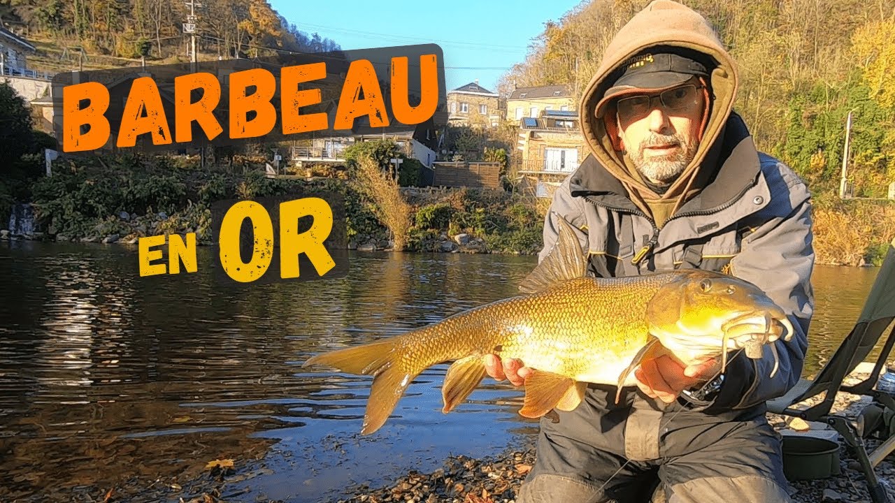 BARBEAU d'automne en eau froide et cristalline...