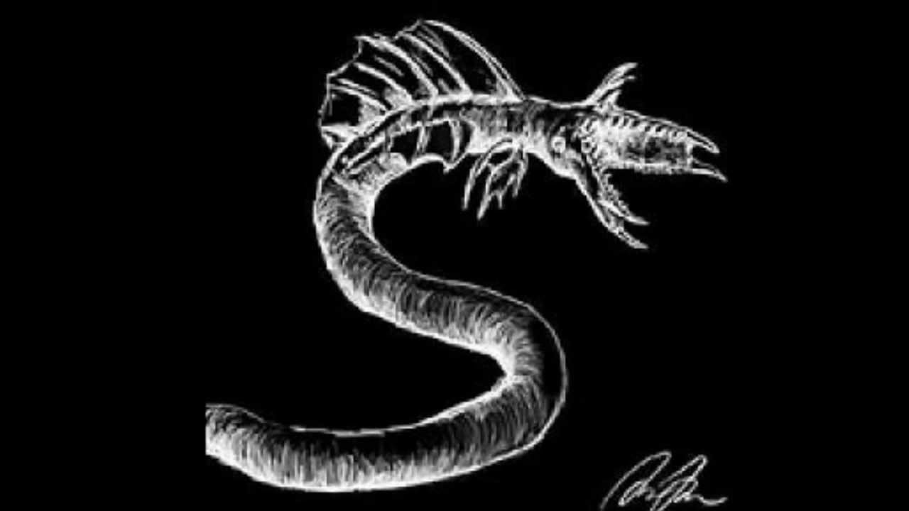 Cimmerii - Nocturnal Slaughter