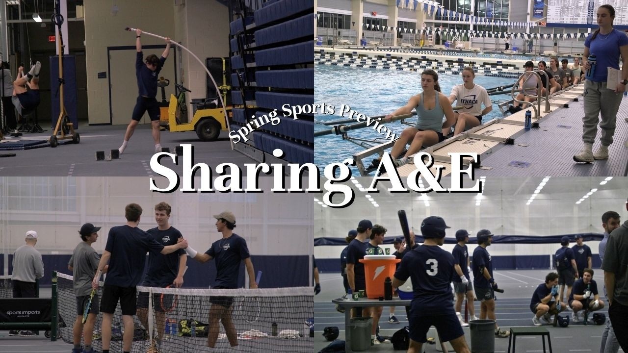 Spring athletes push through winter weather by utilizing shared indoor spaces