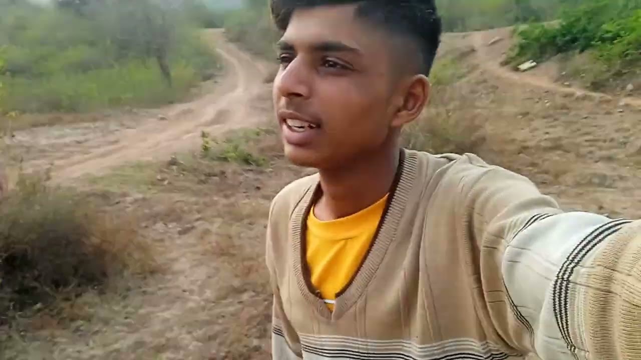 जंगल की और सुबह-सुबह घूमने गए जंगल का सबसे शानदार वातावरण एवं शांत माहौल 