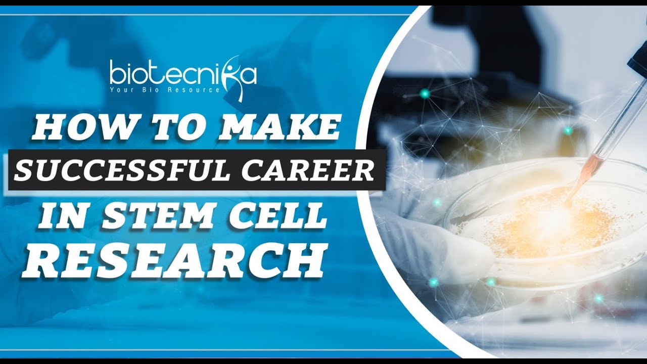 Stem Cell Research Career Tips - How To Make A Successful Career in Stem Cell Research?