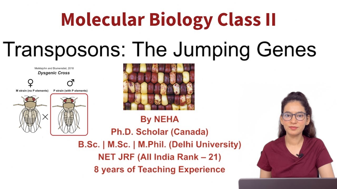 Molecular Biology Class II | Transposable Elements | Bacterial and Eukaryotic Transposons