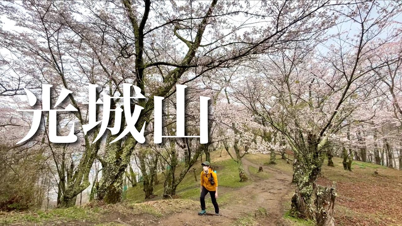 【夫婦登山】満開の桜！お花見ハイク光城山｜安曇野