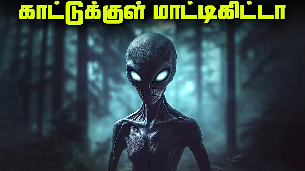 Alienகள் வாழும் காடு - Dark Forest Hypothesis