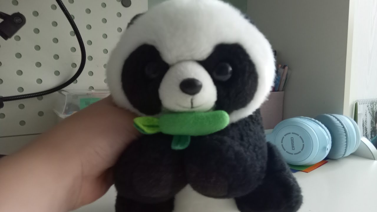 김꿀이에 입학 기념 라이브방송!!