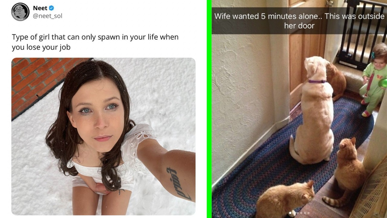 Funny Memes 154 | Wife wanted 5 minutes alone...
