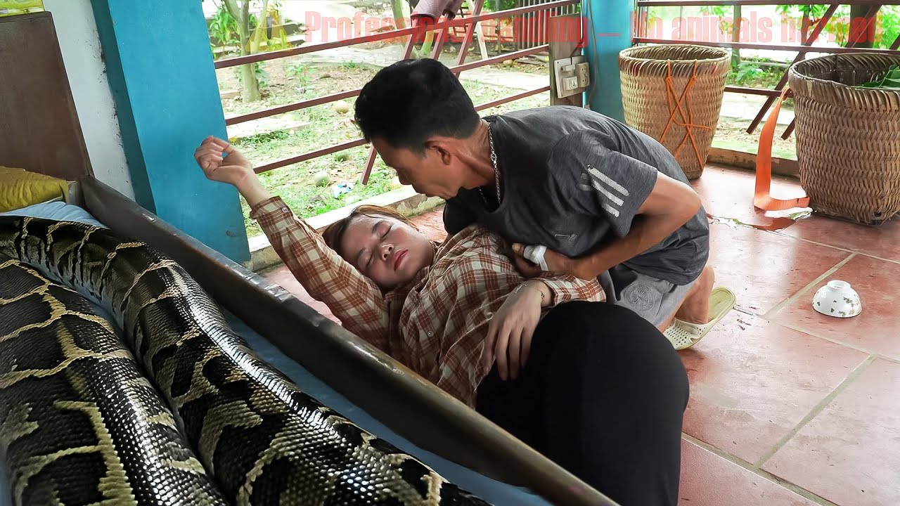 Time-lapse: 72 hours as girl is attacked by giant python - father rescues her just in time.