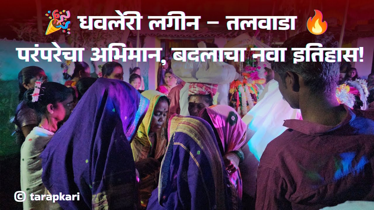 धवलेरी लगीन तलवाडा गावात 🔥 | संस्कृतीचा महासोहळा | आदिवासी परंपरेचा अभिमान 💃🎉