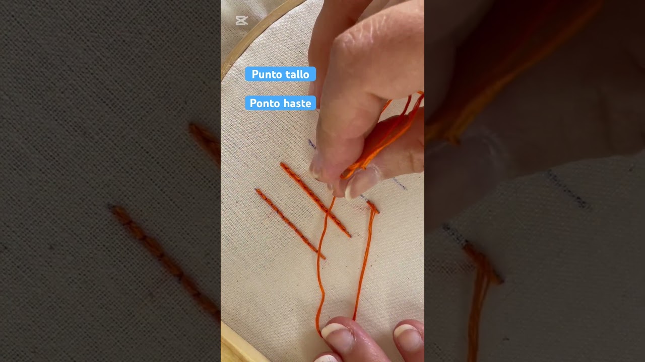 Punto tallo | Ponto haste