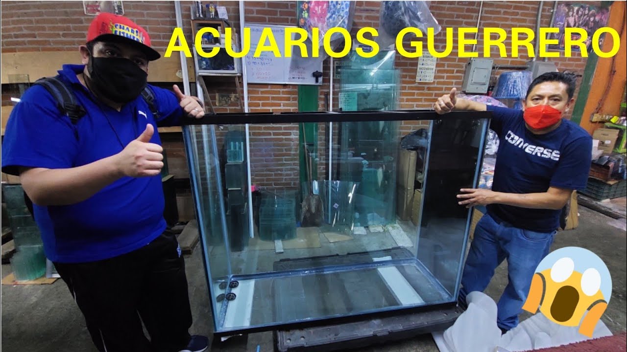 FUI POR MI NUEVO ACUARIO AL MERCADO MIXHUCA CON ACUARIOS GUERRERO