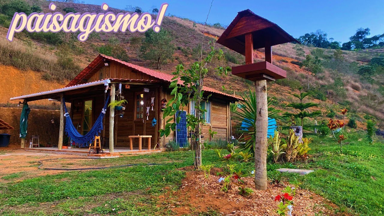Paisagismo do sítio! Cada dia mais bonito!