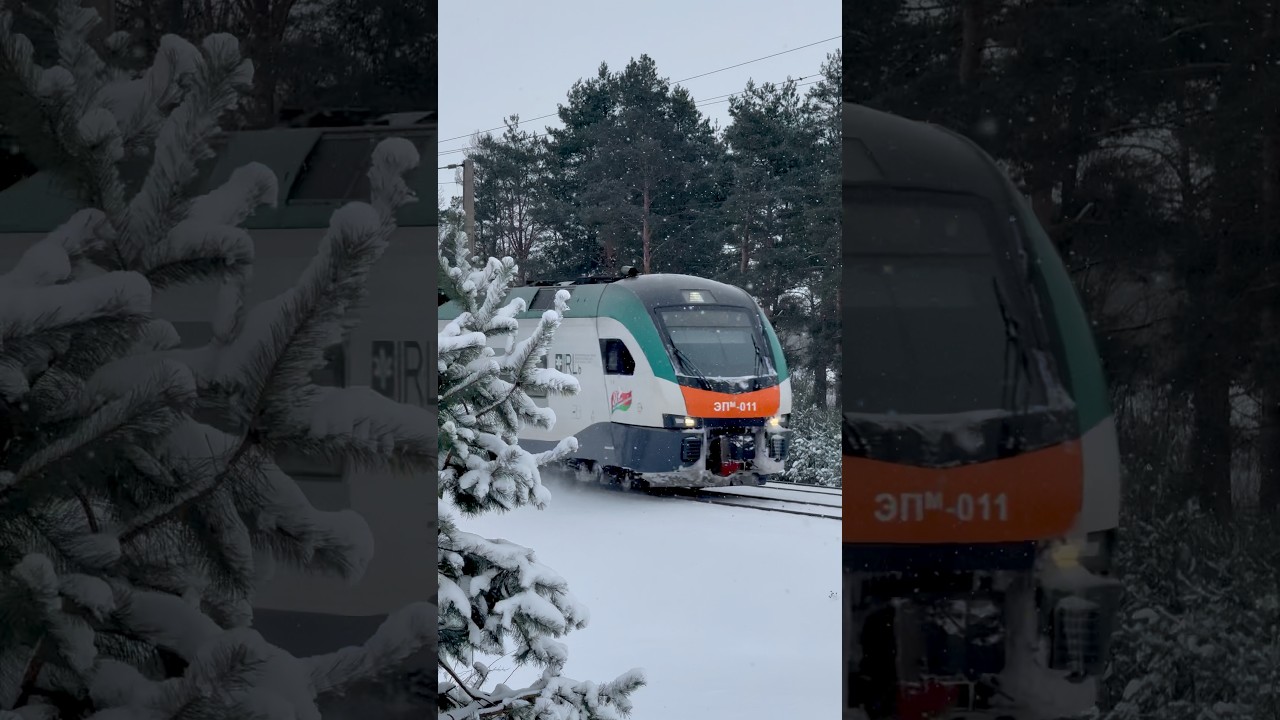 Stadler in the snow