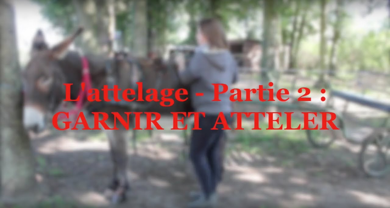L'ATTELAGE | Garnir et atteler [2]