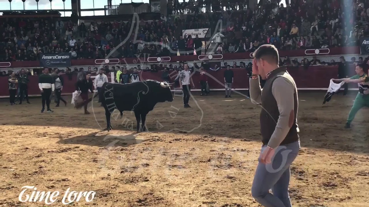 Pedrajas de San Esteban 2018 toros de caj&oacute;n