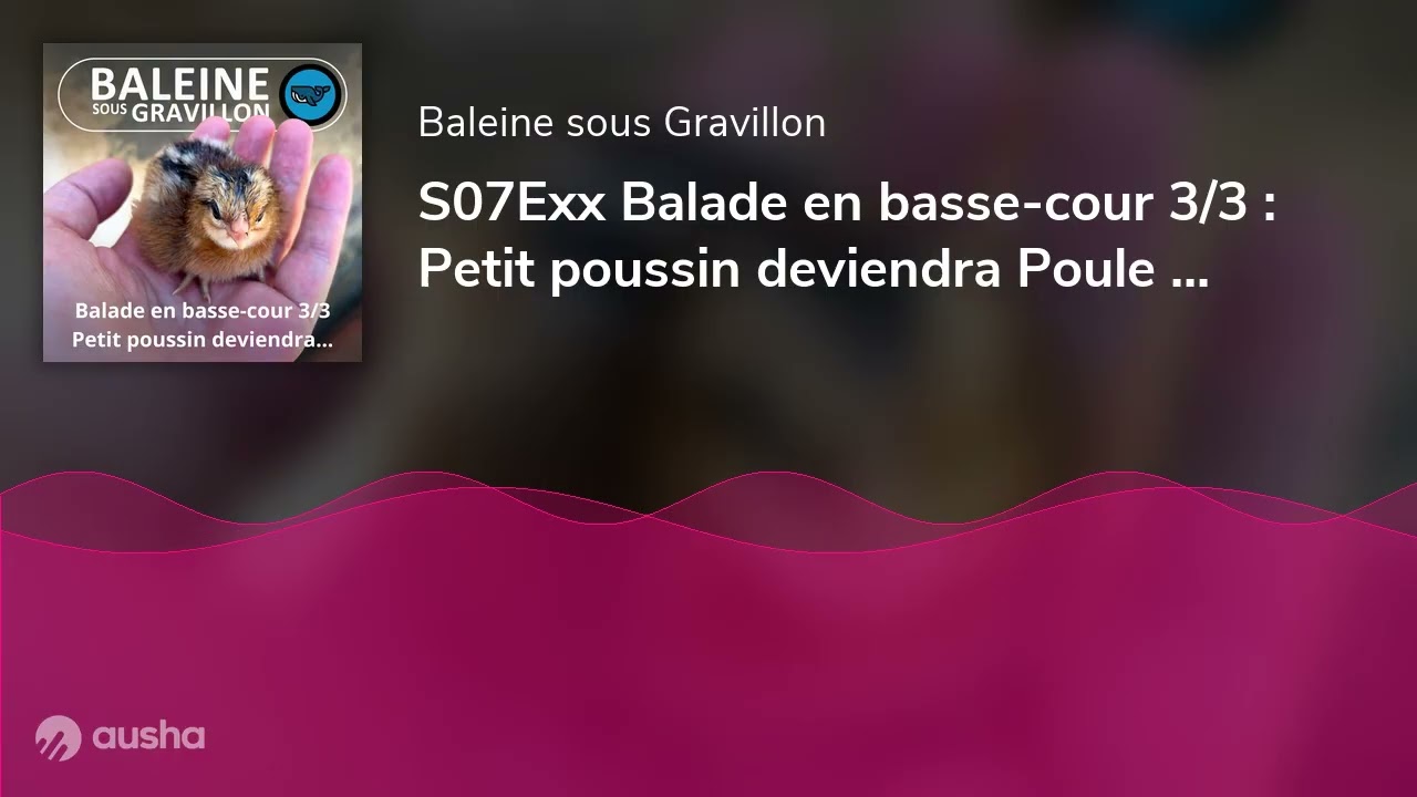 S07Exx Balade en basse-cour 3/3 : Petit poussin deviendra Poule (Rémi Dupouy)