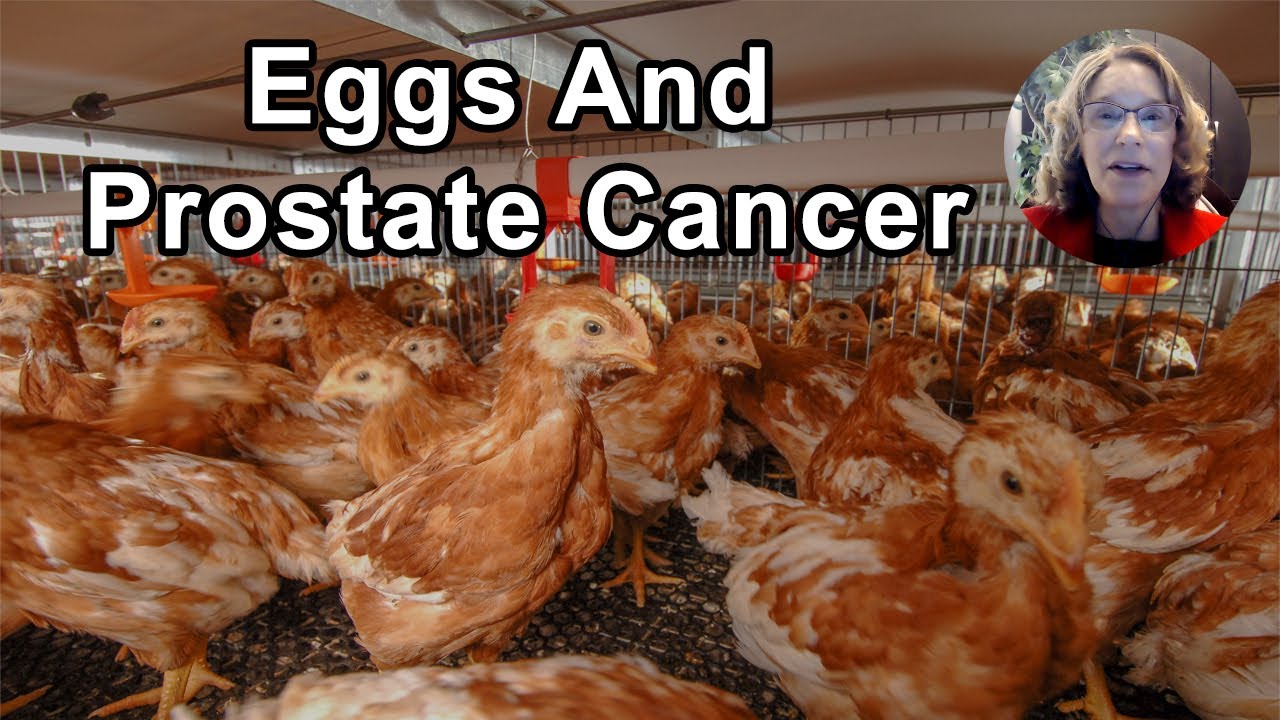 Eggs Have Been Associated With Increased Risk Of Prostate Cancer -  Brenda Davis, RD - Interview