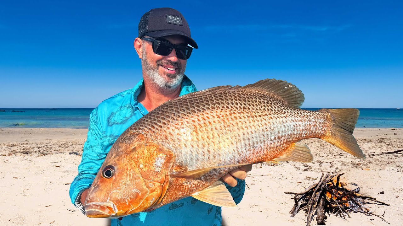 Catching Giant Golden Snapper! ll Melville Island Catch & Cook