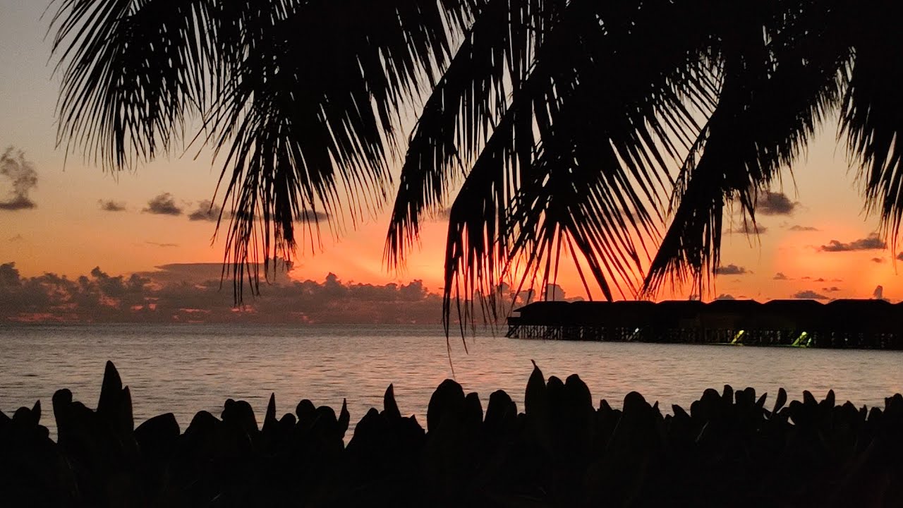 Vilamendhoo Malediven 05/2022