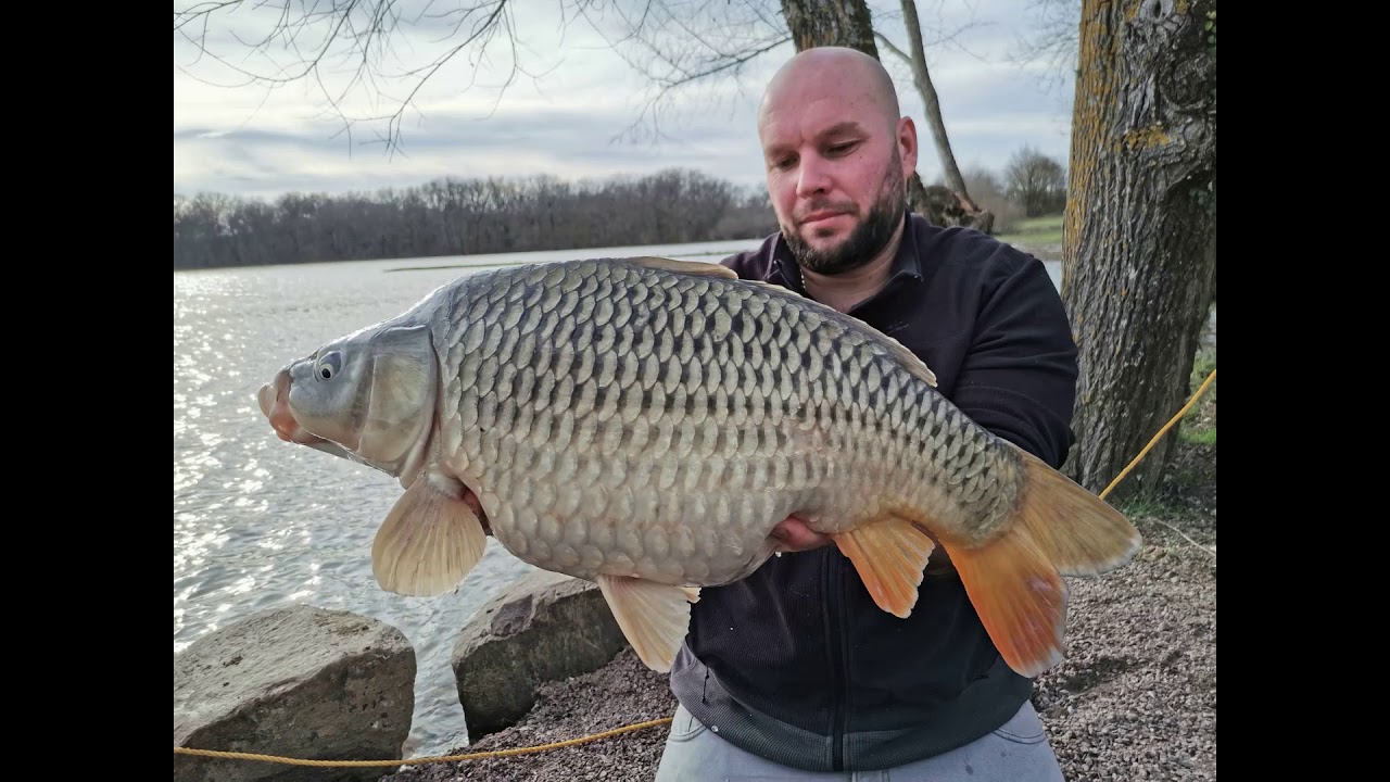 Etang de Camalo en Région Centre