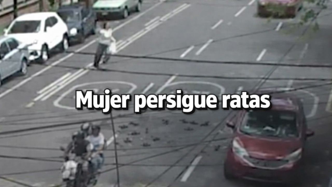 Camarachota Mujer corretea ratas