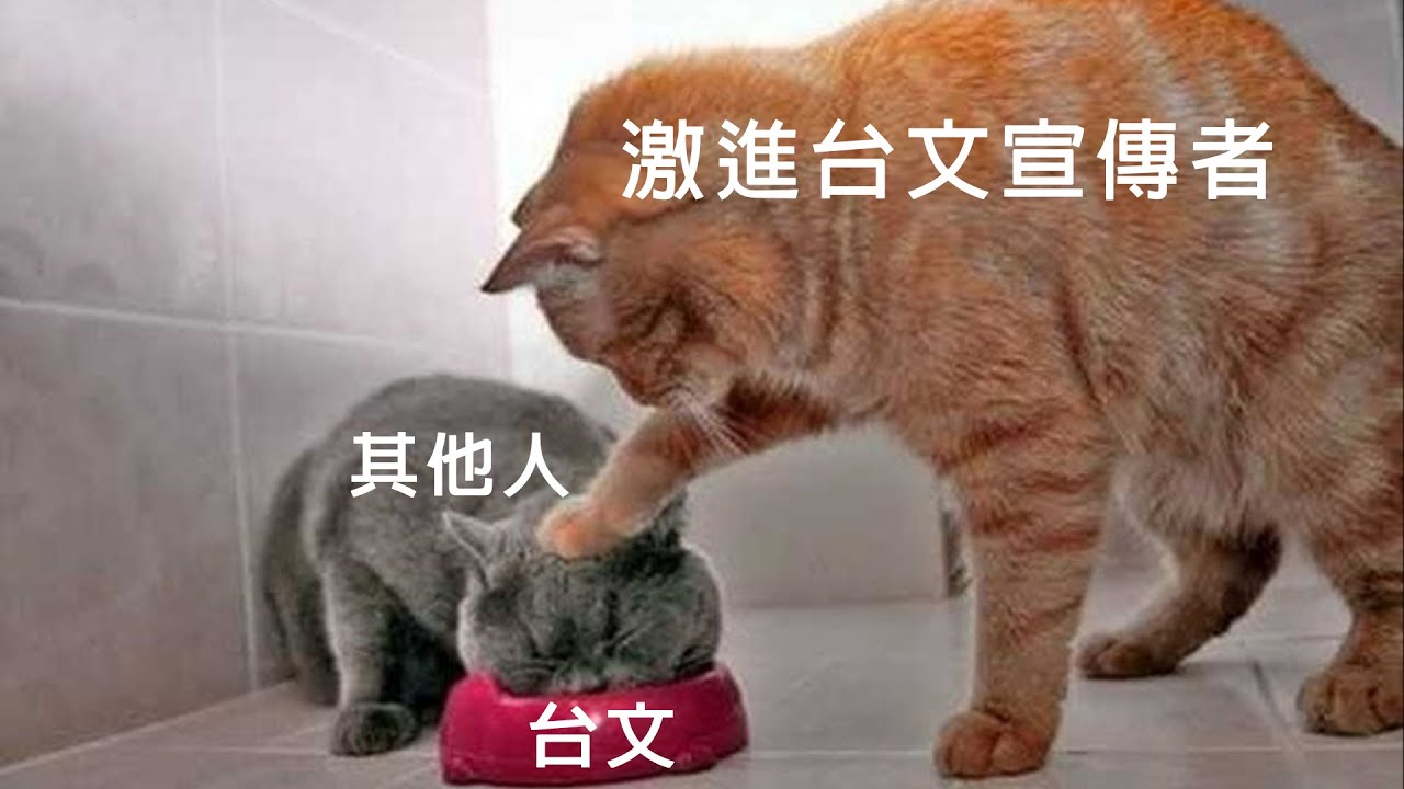 【淺談】激進的台文宣傳者