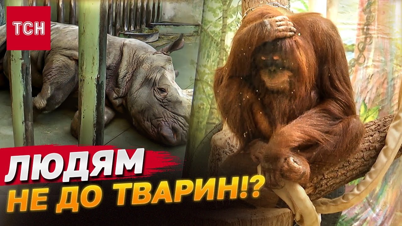 Врятувати 