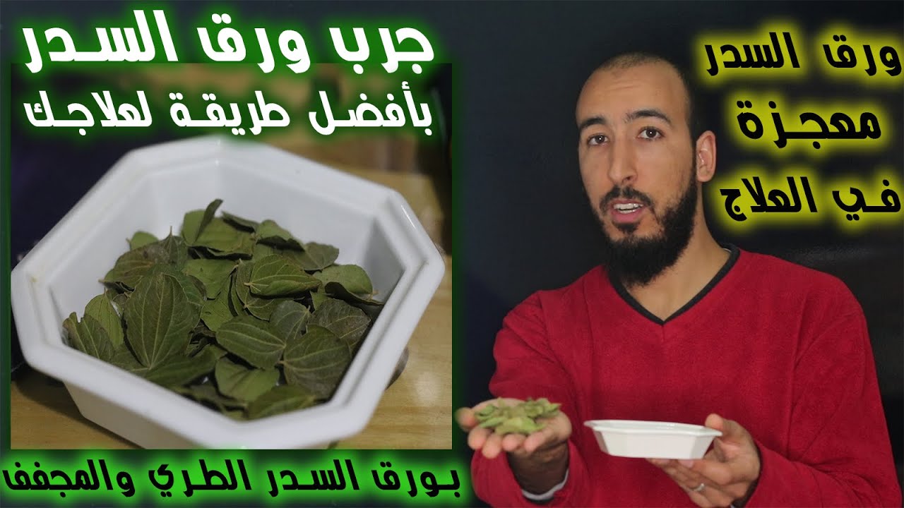 أفضل طريقة لاستعمال ورق السدر في علاج السحر والمس والعين والحسد جربها لعلاج نفسك وطرد مابك من عقد