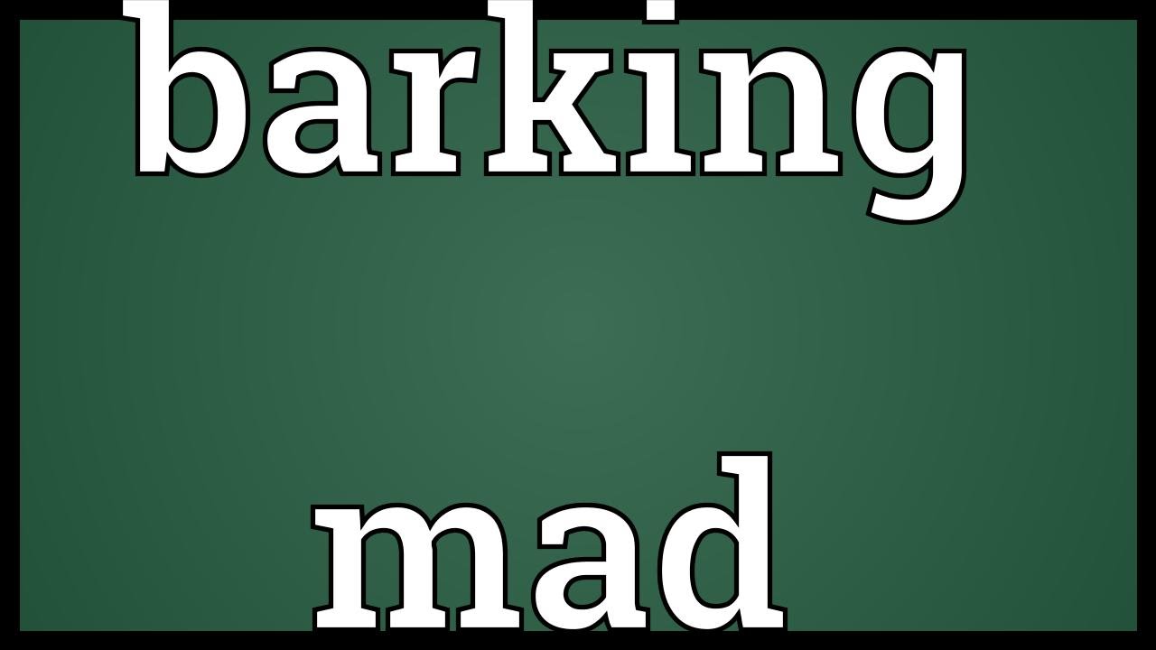 Barking mad Meaning