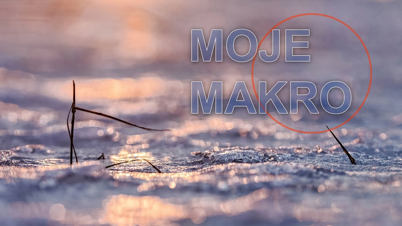 🚩 Moje makro - Fotografia jest Fajna