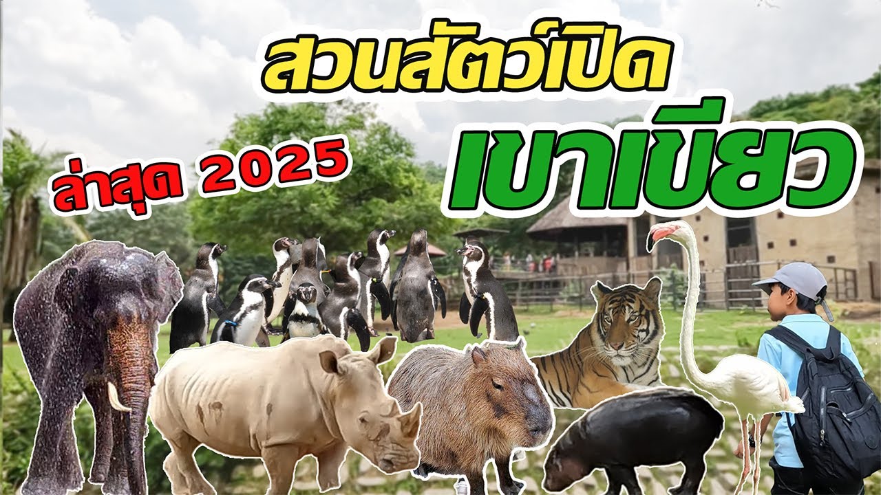 สวนสัตว์เปิดเขาเขียว Khao Kheow Open Zoo ชลบุรี ล่าสุด 2568