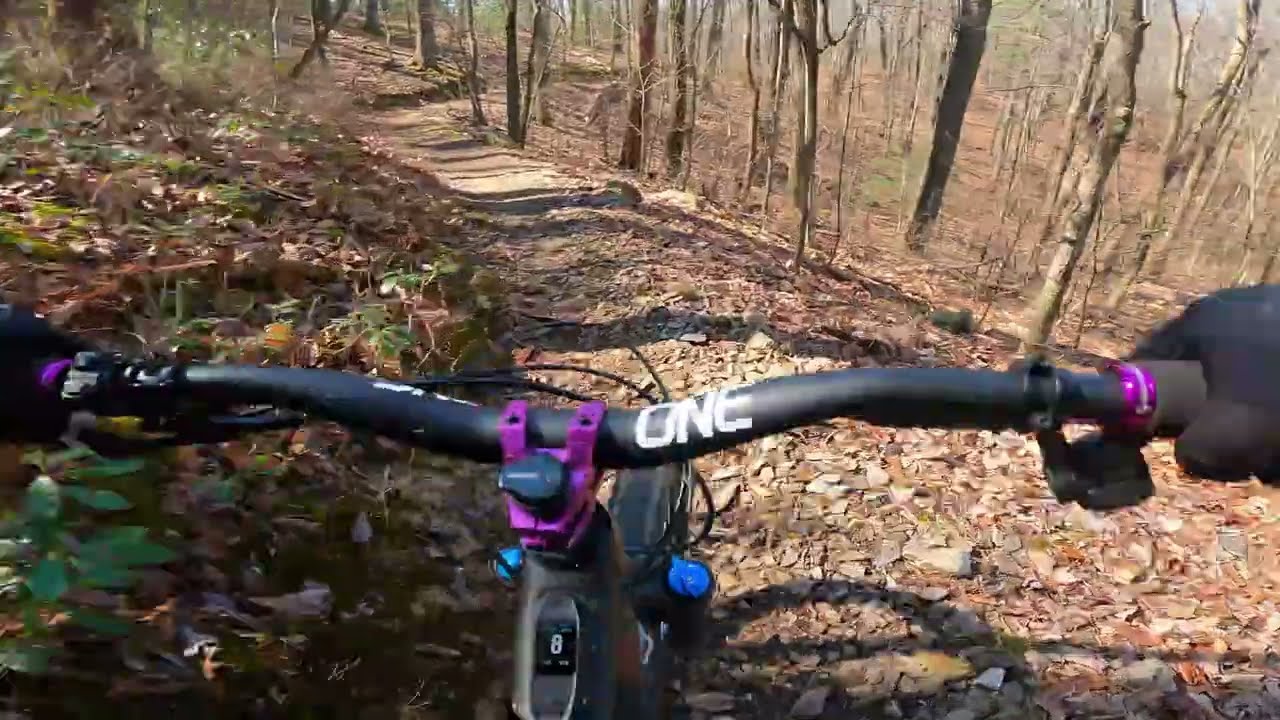 Tillman West - Stokesville, VA