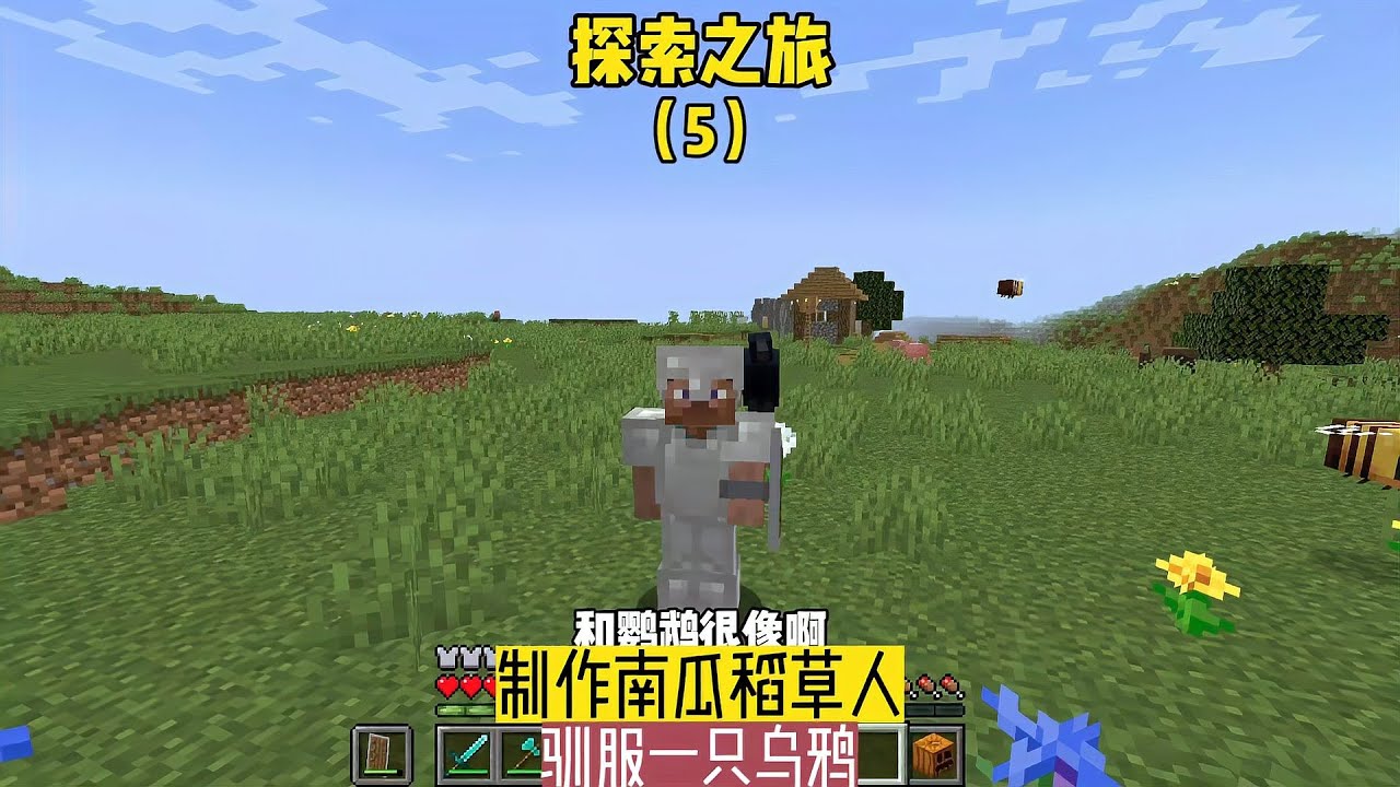 探索之旅（5）：制作南瓜稻草人，馴服一只烏鴉 #我的世界 #MC #Minecraft #MOD #mc