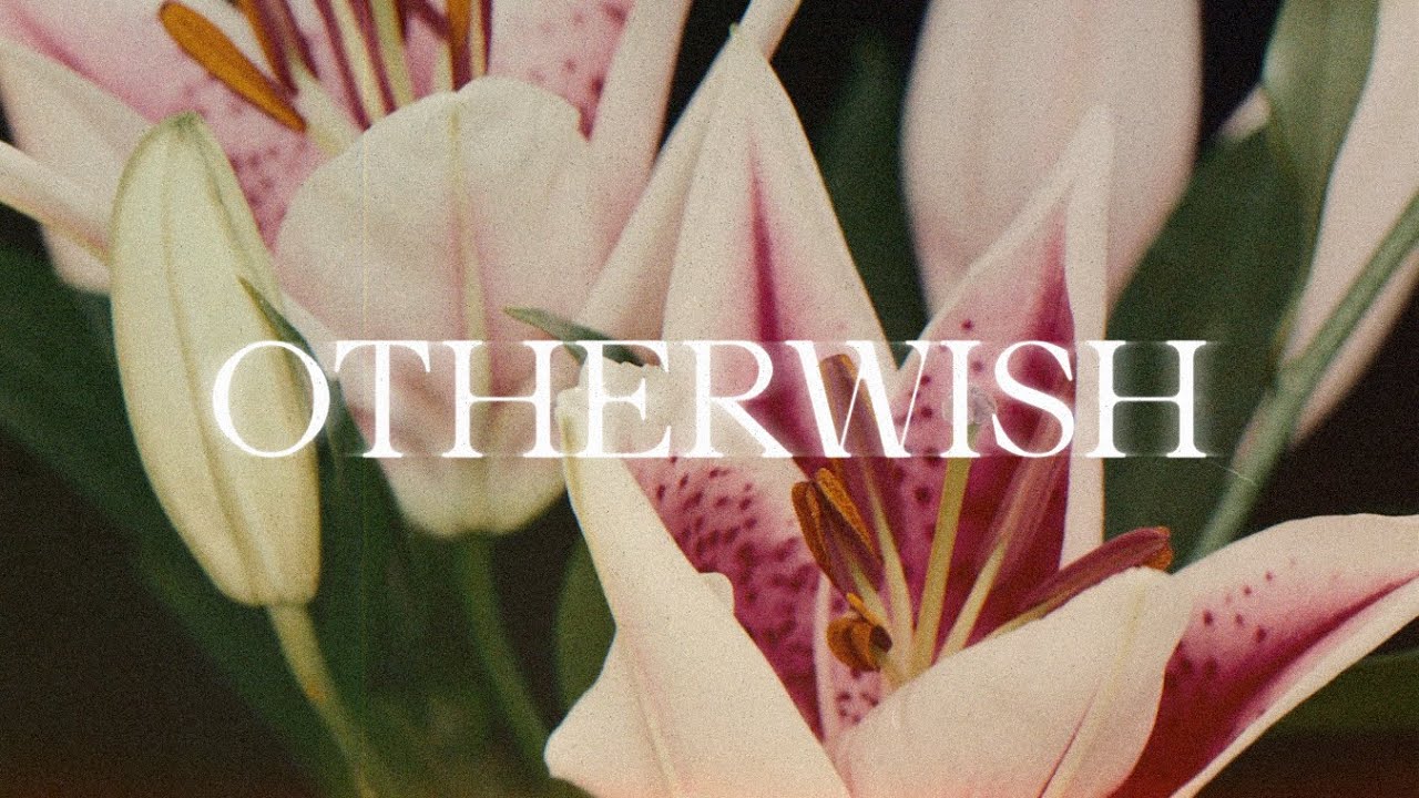 Otherwish - Let You Go