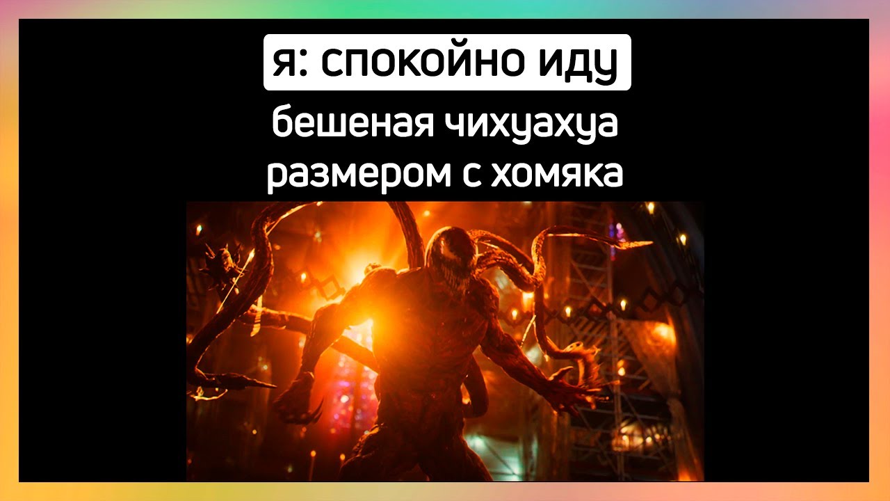 тикток разозлился