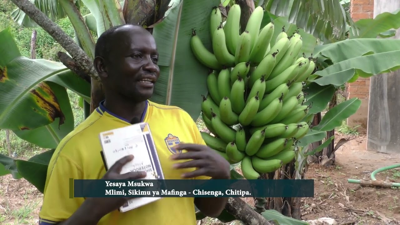 kusamalira chilengedwe kudzera ku mitengo yadzipatso