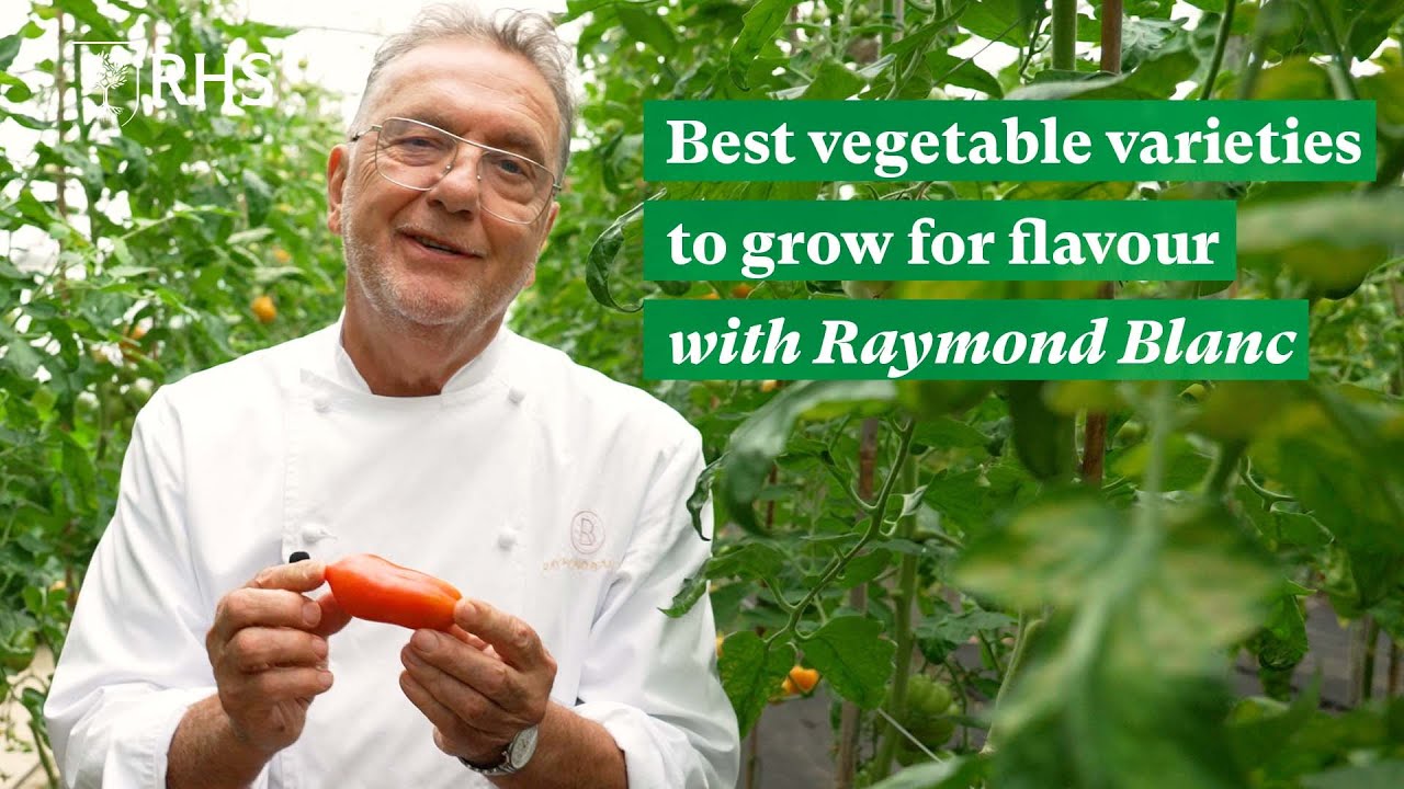 The best vegetable varieties to grow for flavour with chef Raymond Blanc | The RHS