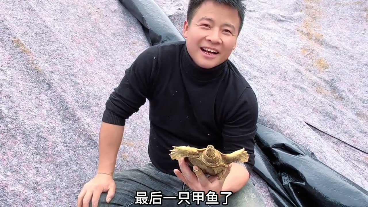 甲鱼塘护坡，一共花费1800元，看看这效果能管多久 #我的乡村生活 #三农养殖 #抖音商城年货节 #一件年货领取马年入场券