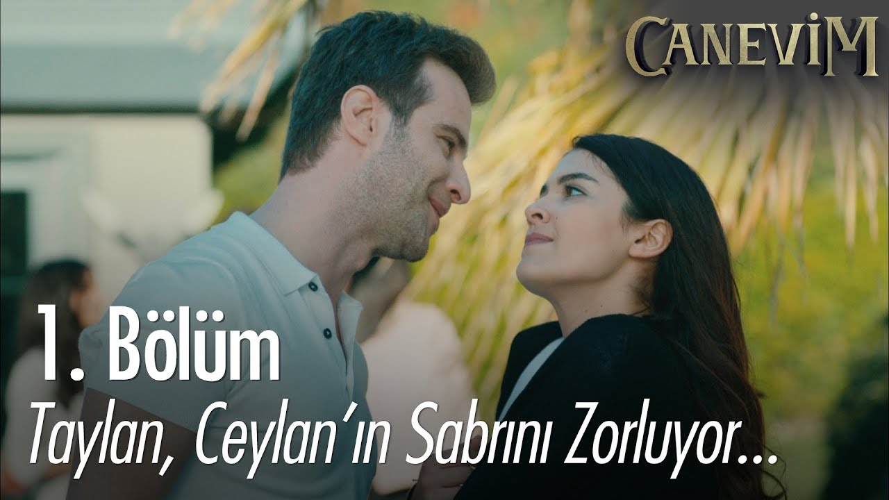 Taylan, Ceylan'ın sabrını zorluyor - Canevim 1. Bölüm