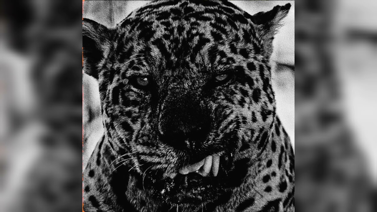 [FREE] Dark Boom Bap Type Beat 