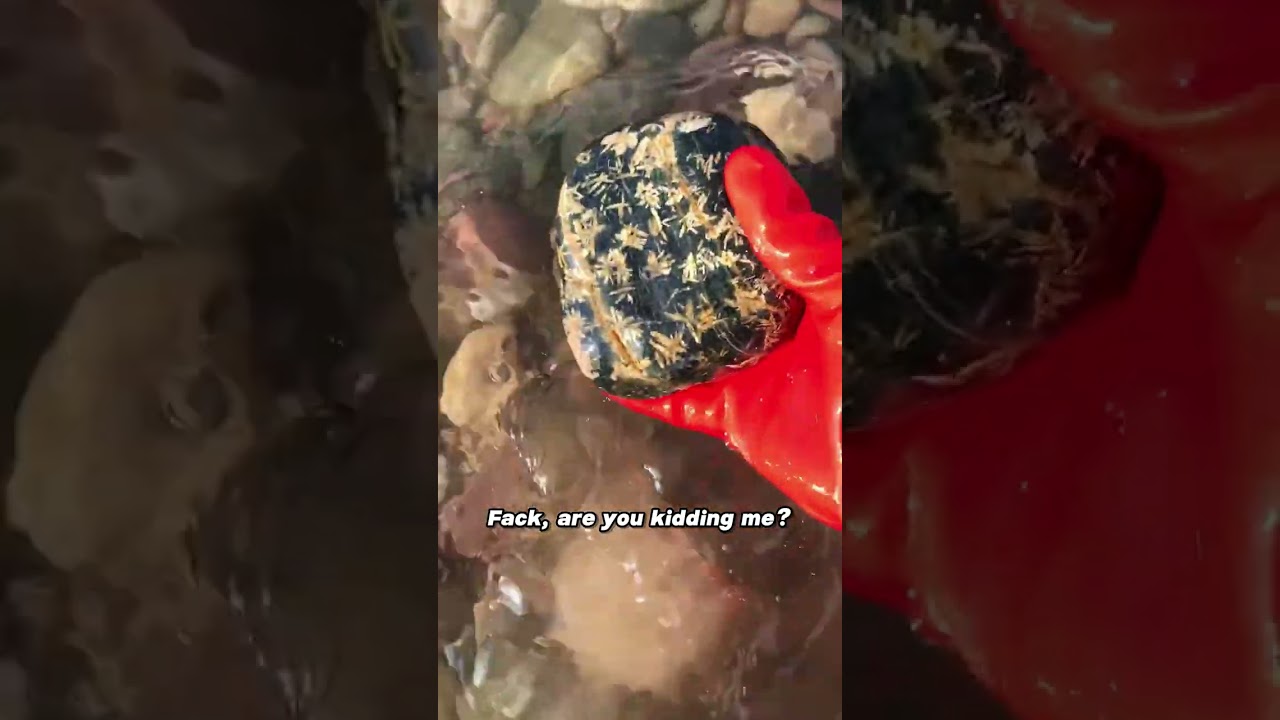 Can I quit my job after finding this stone?