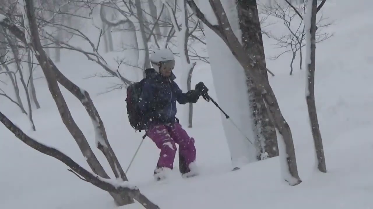YAMAGATA BC TOUR 2026 SKIER : TOSHIKO SUGIURA