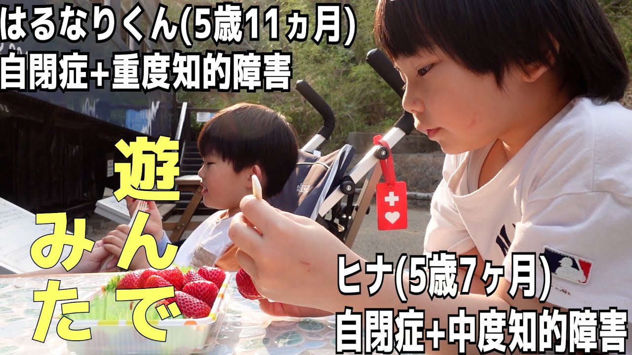 【中度と重度】自閉症息子たち(5歳)は一緒に遊べるのか？【初対面】