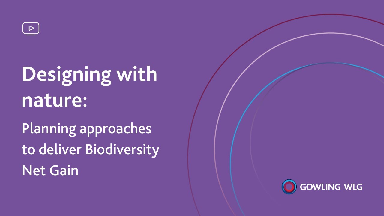 Designing with nature: planning approaches to deliver Biodiversity Net Gain