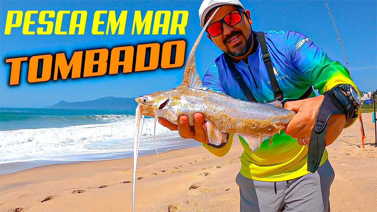 Explorando o Mar Tombado: Dicas de Pesca em Família na Praia Surfcasting
