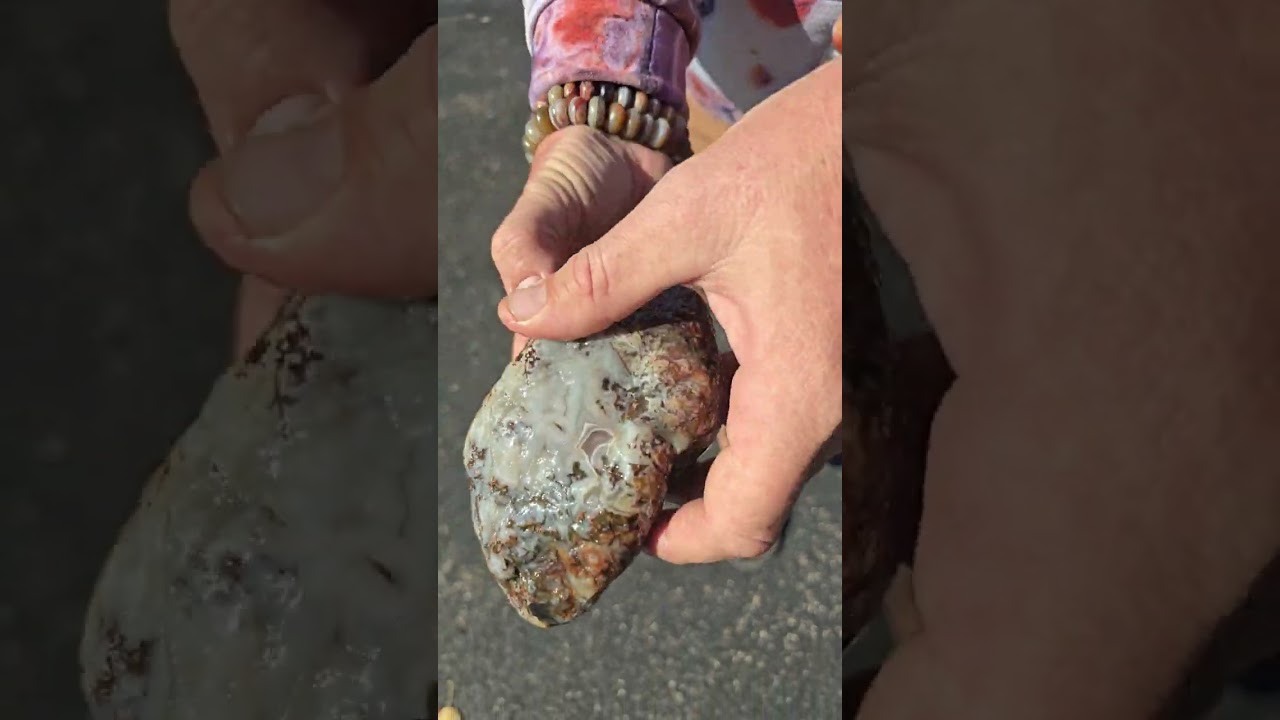 Крупный агат из озера Верхнее разрезают пополам!