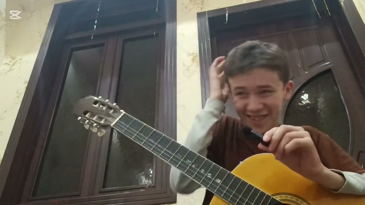 Guitar Кароль шут