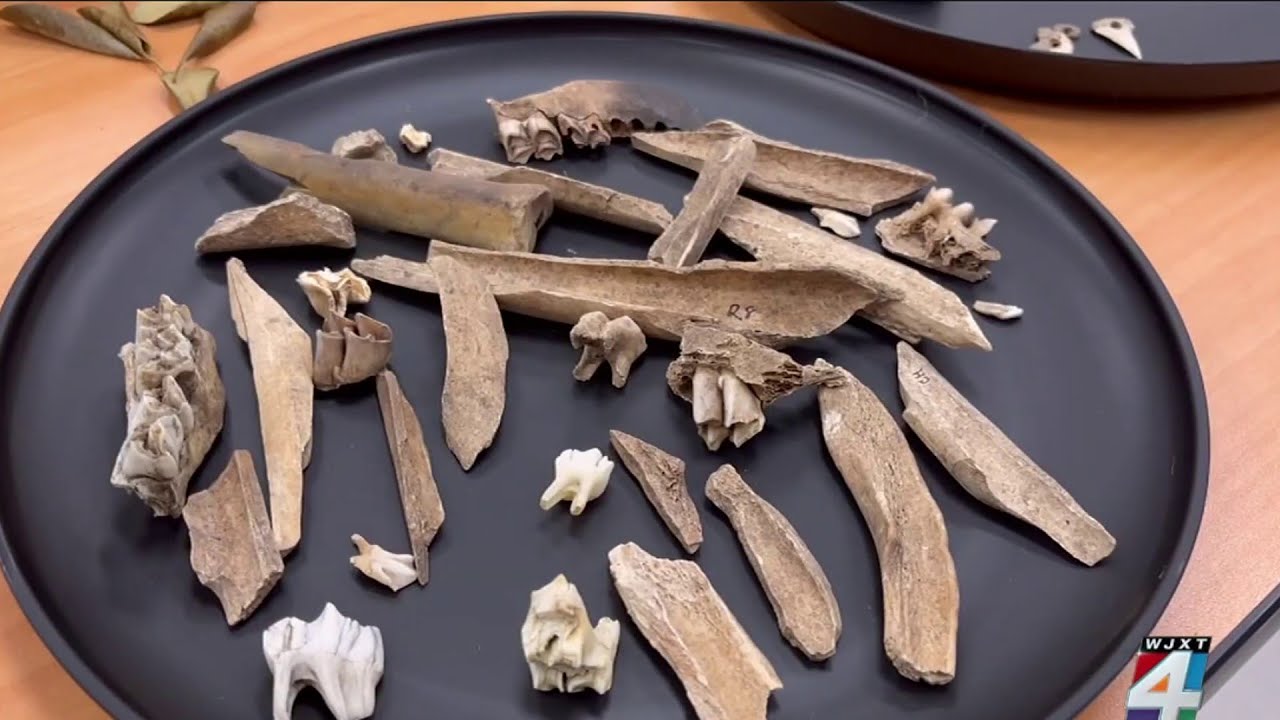 Native American artifacts found in Northeast Florida