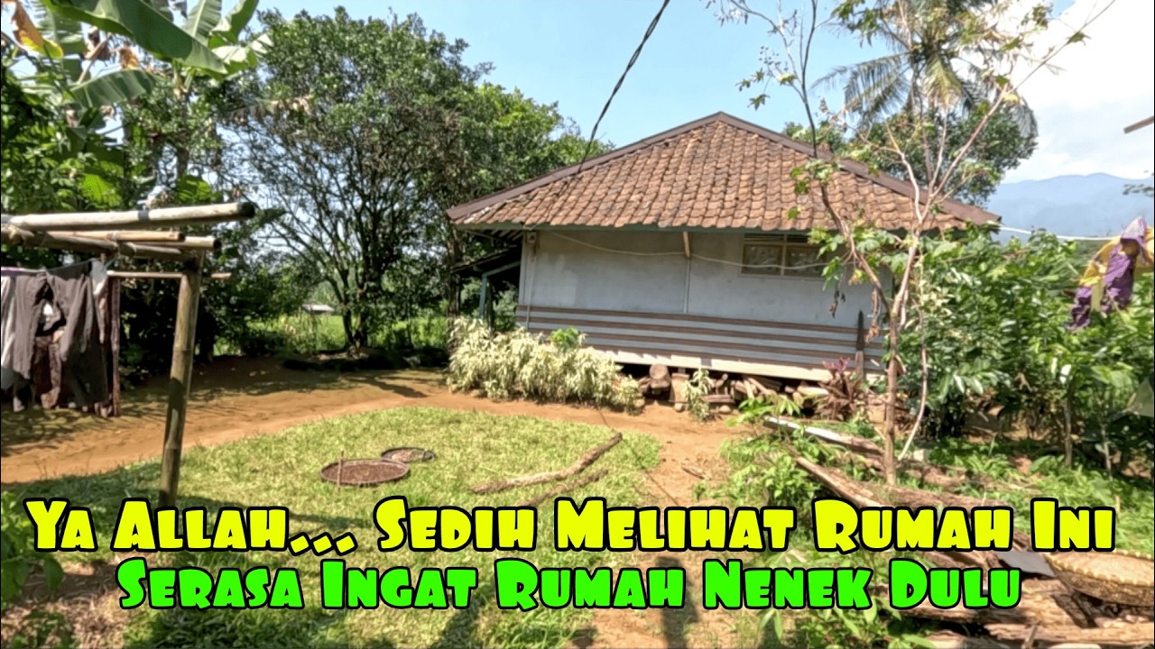 Pesona Desa Sakambang: Keindahan Rumah Panggung Khas Jawa Barat di Tengah Sawah Hijau