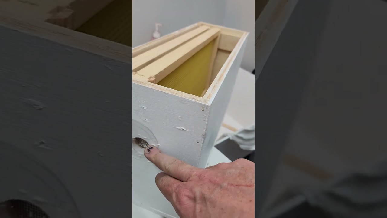2 frame mating bee nuc with frame feeder